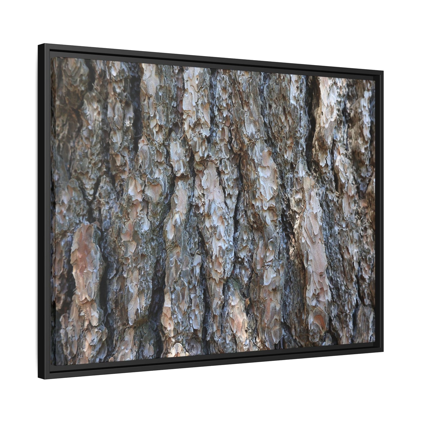 Bark Whispers - Unique Stretched Canvas Wall Art