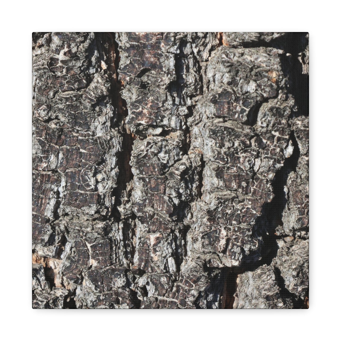 Cracked Skin of Earth - Unique Frameless Canvas Wall Art