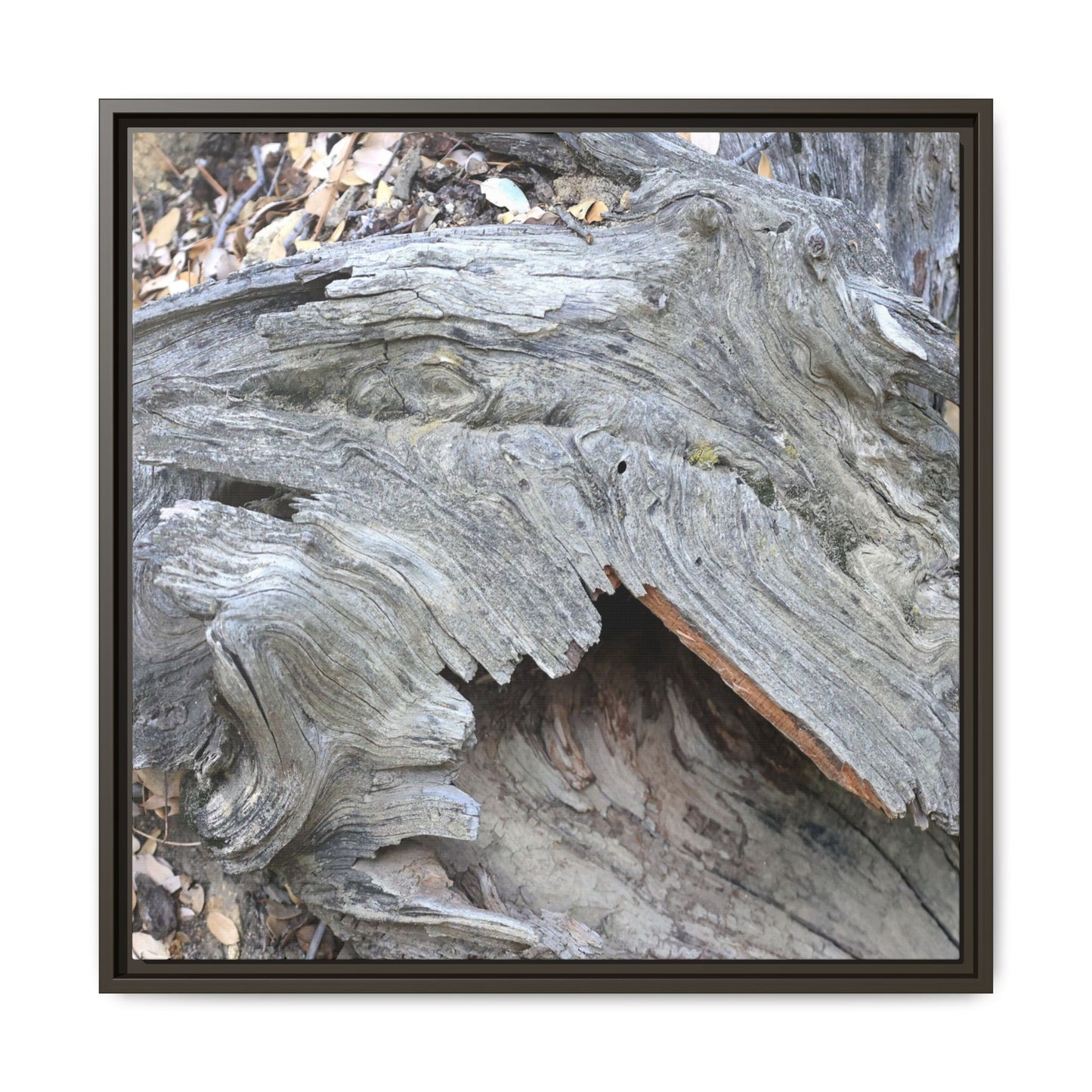 Driftwood Dreams - Unique Stretched Canvas Wall Art