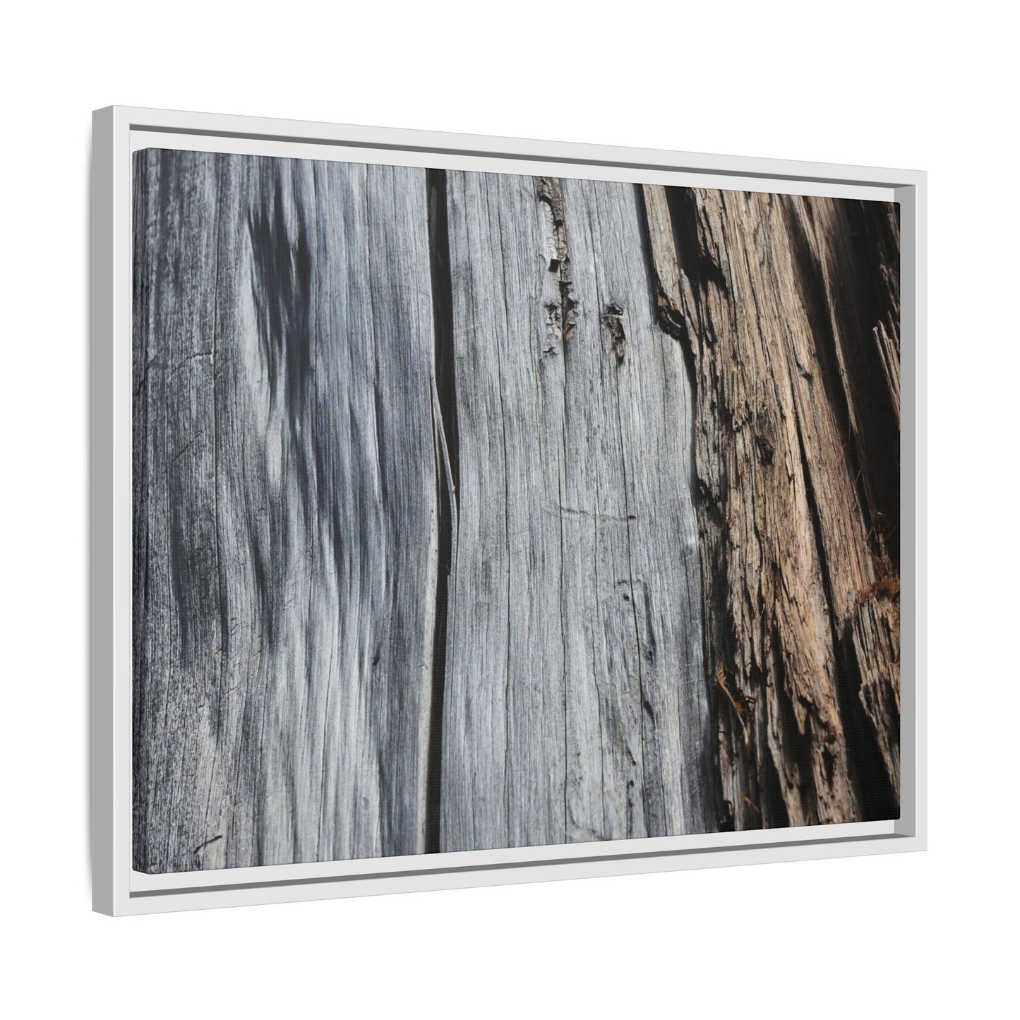 Wood's Lament - Unique Stretched Canvas Wall Art
