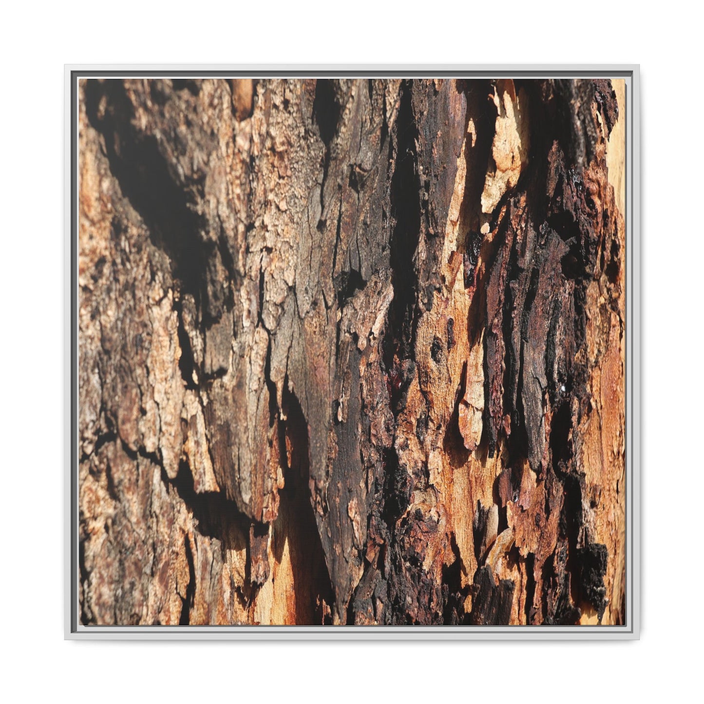 Rugged Beauty - Unique Stretched Canvas Wall Art