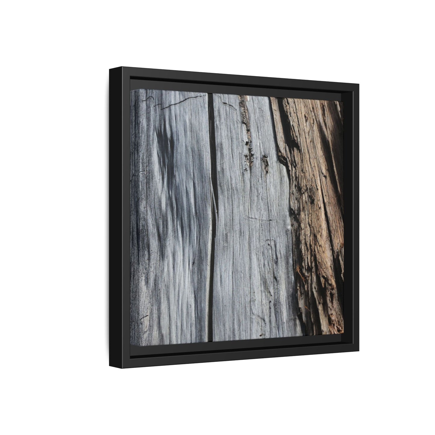 Wood's Lament - Unique Stretched Canvas Wall Art