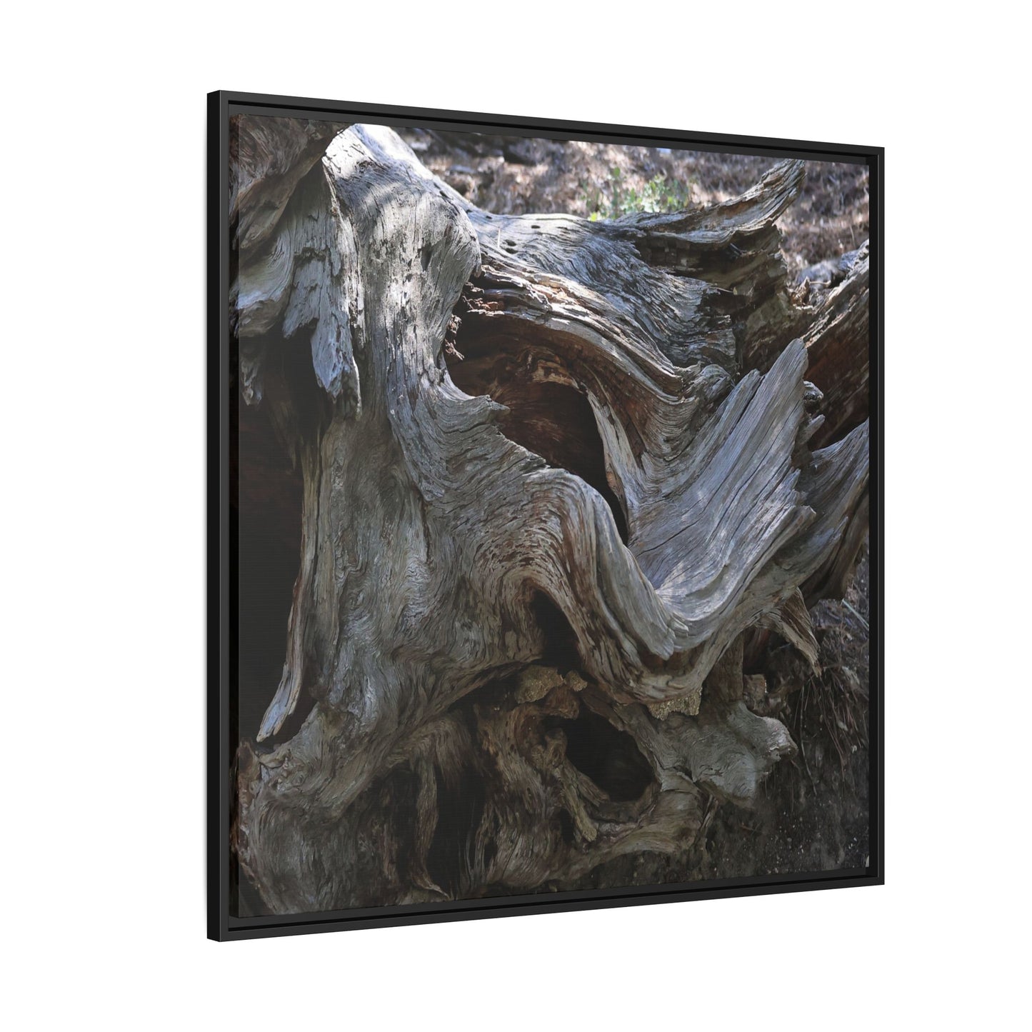 Twisted Memories - Unique Stretched Canvas Wall Art