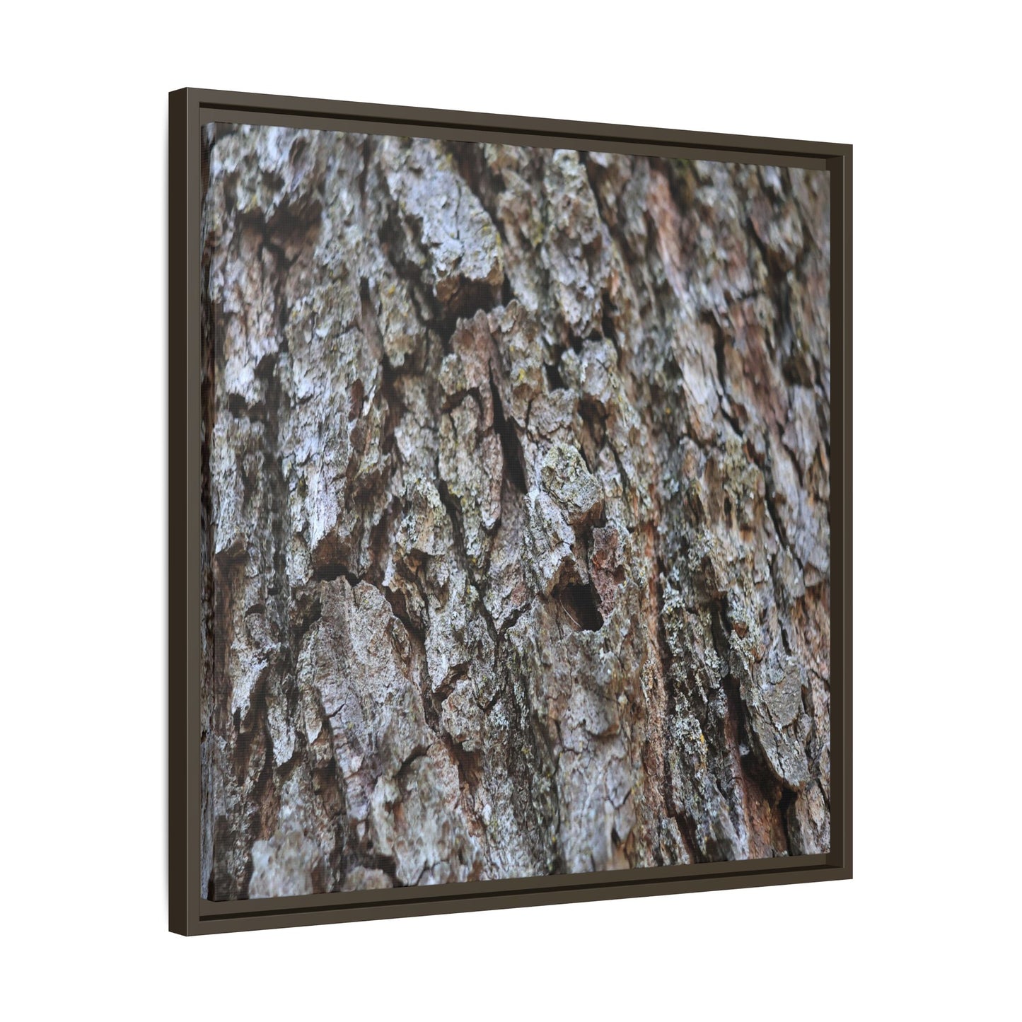Woodland Canvas - Unique Stretched Canvas Wall Art