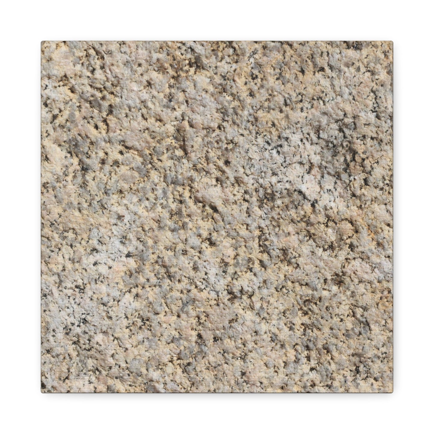 Granular Echoes - Unique Frameless Canvas Wall Art