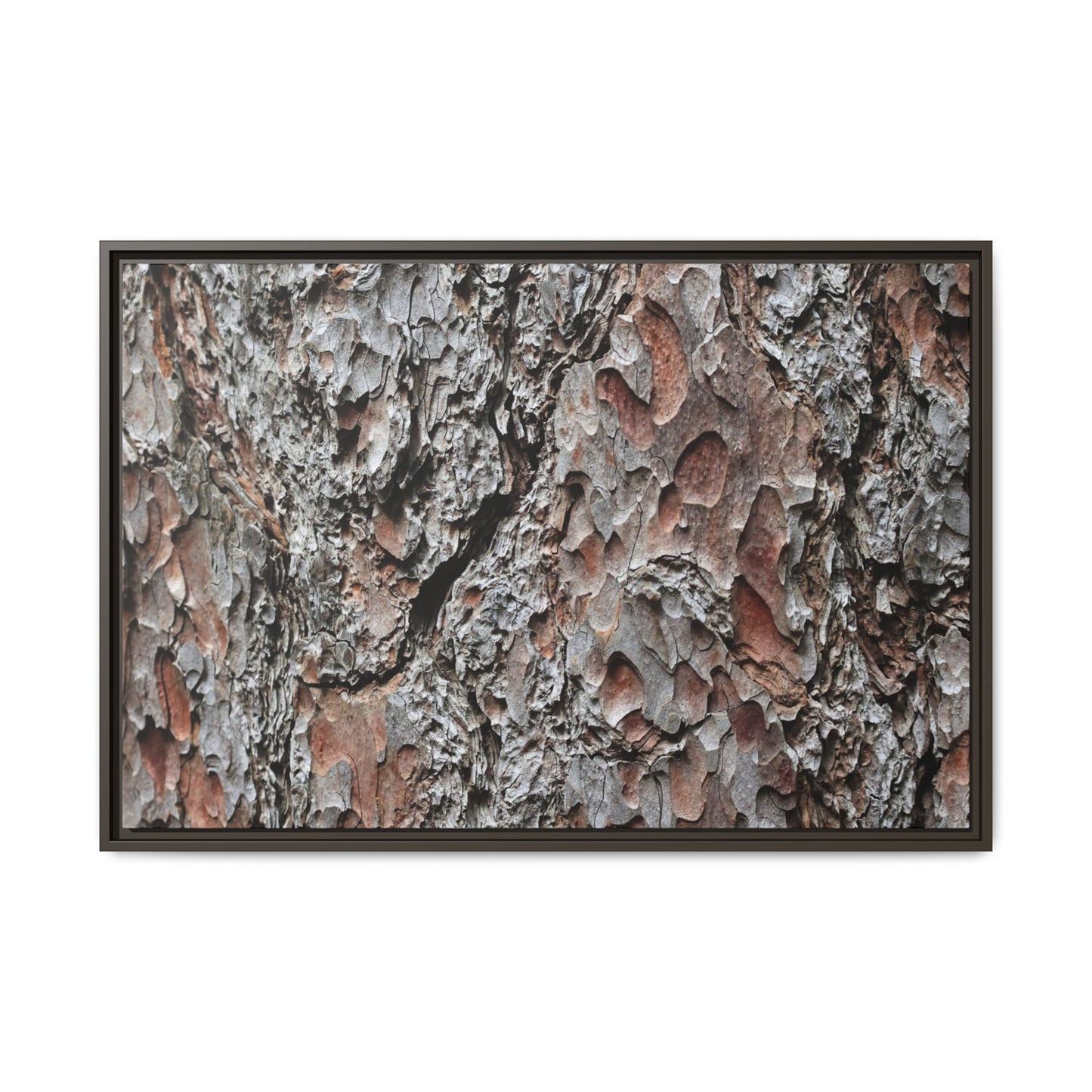 Bark Texture Symphony - Unique Stretched Canvas Wall Art