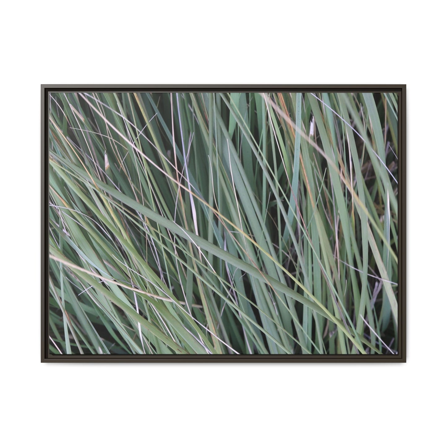 Grassland Symphony - Unique Stretched Canvas Wall Art