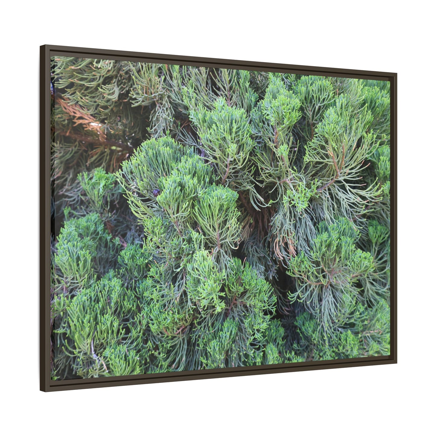 Verdant Whispers - Unique Stretched Canvas Wall Art
