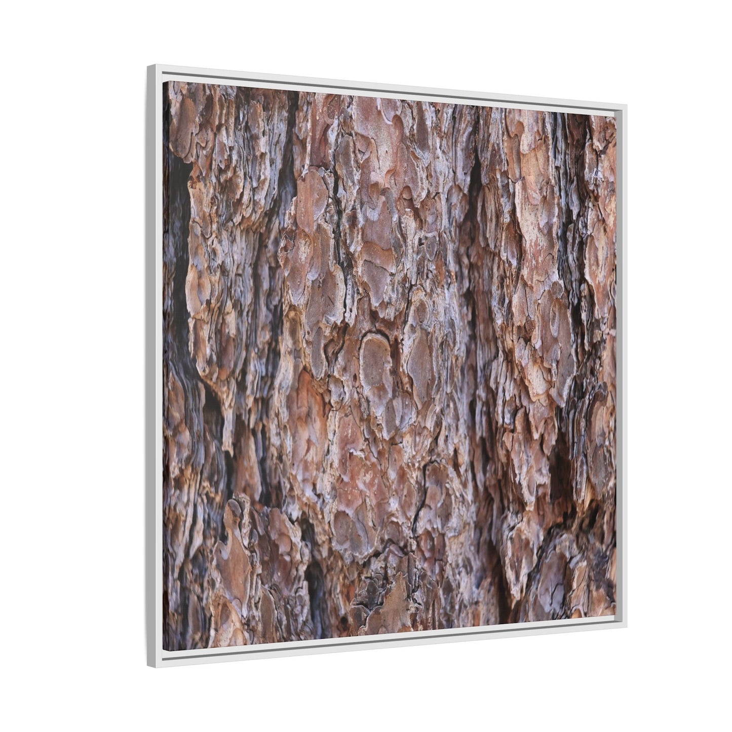 Woody Layers - Unique Stretched Canvas Wall Art