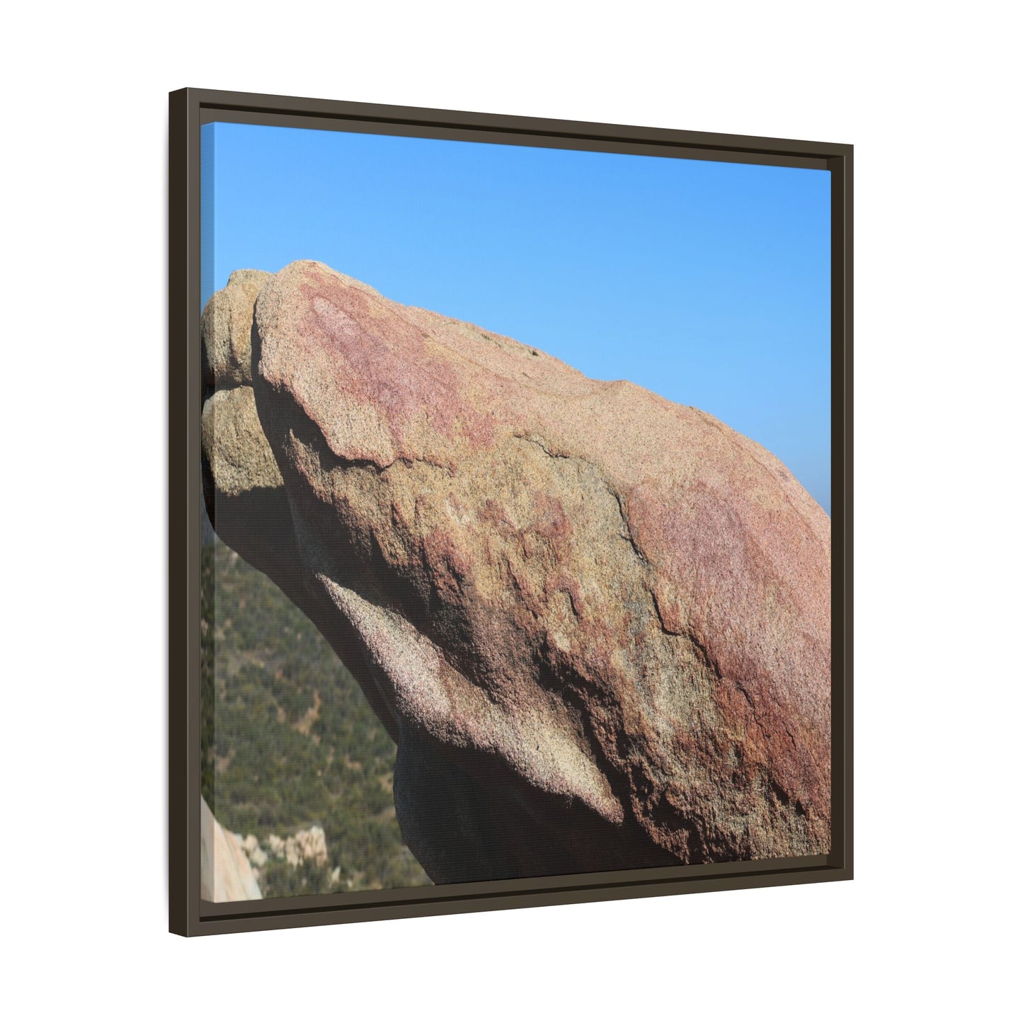 Sleeping Stone - Unique Stretched Canvas Wall Art