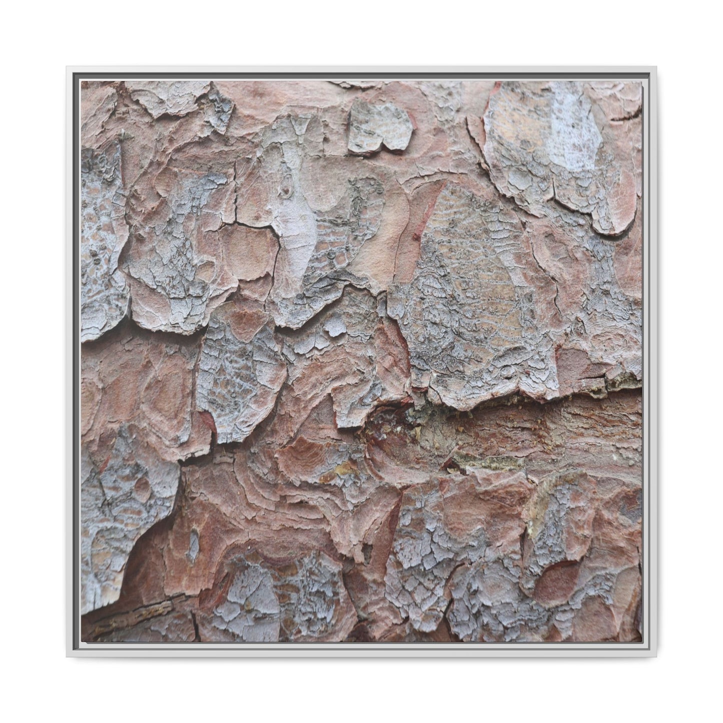 Flaking Serenity - Unique Stretched Canvas Wall Art