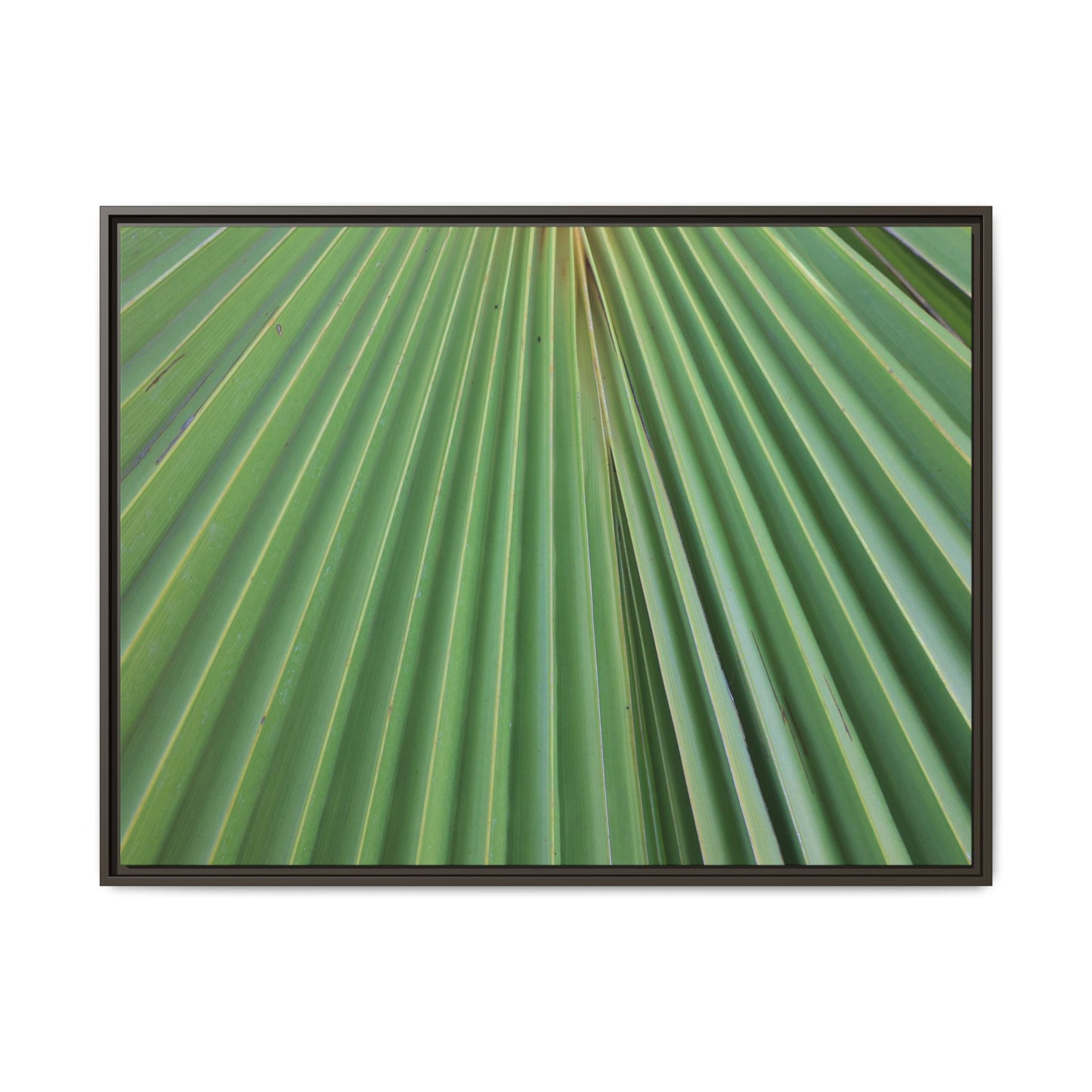 Verdant Veins - Unique Stretched Canvas Wall Art