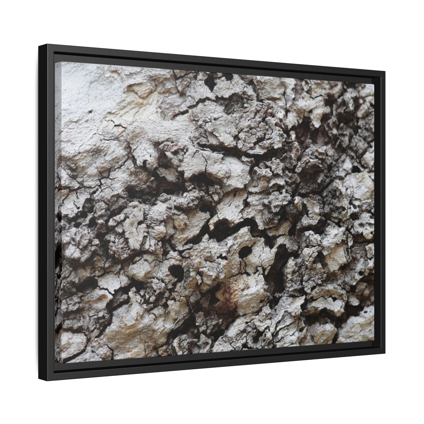 Cracked Terrain - Unique Stretched Canvas Wall Art