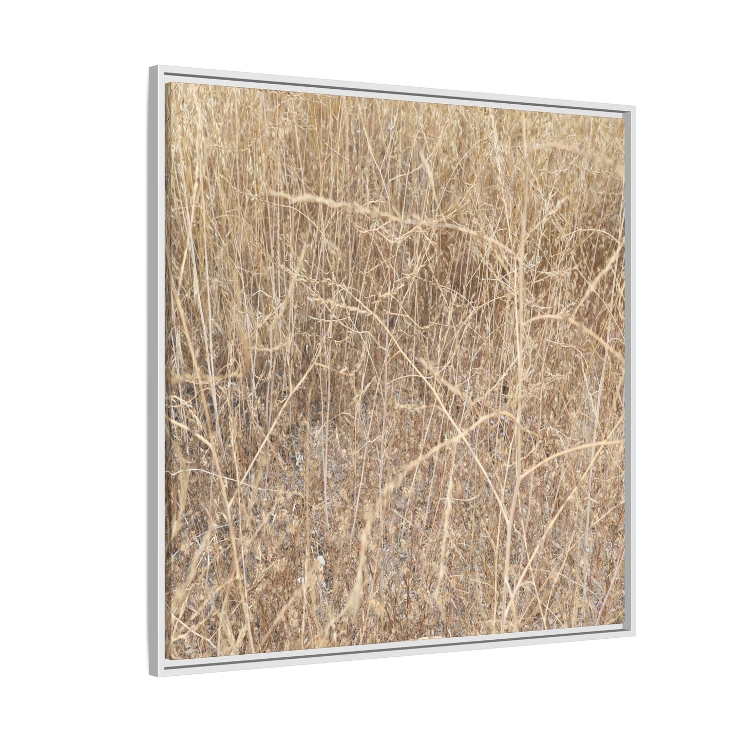 Golden Stalks - Unique Stretched Canvas Wall Art