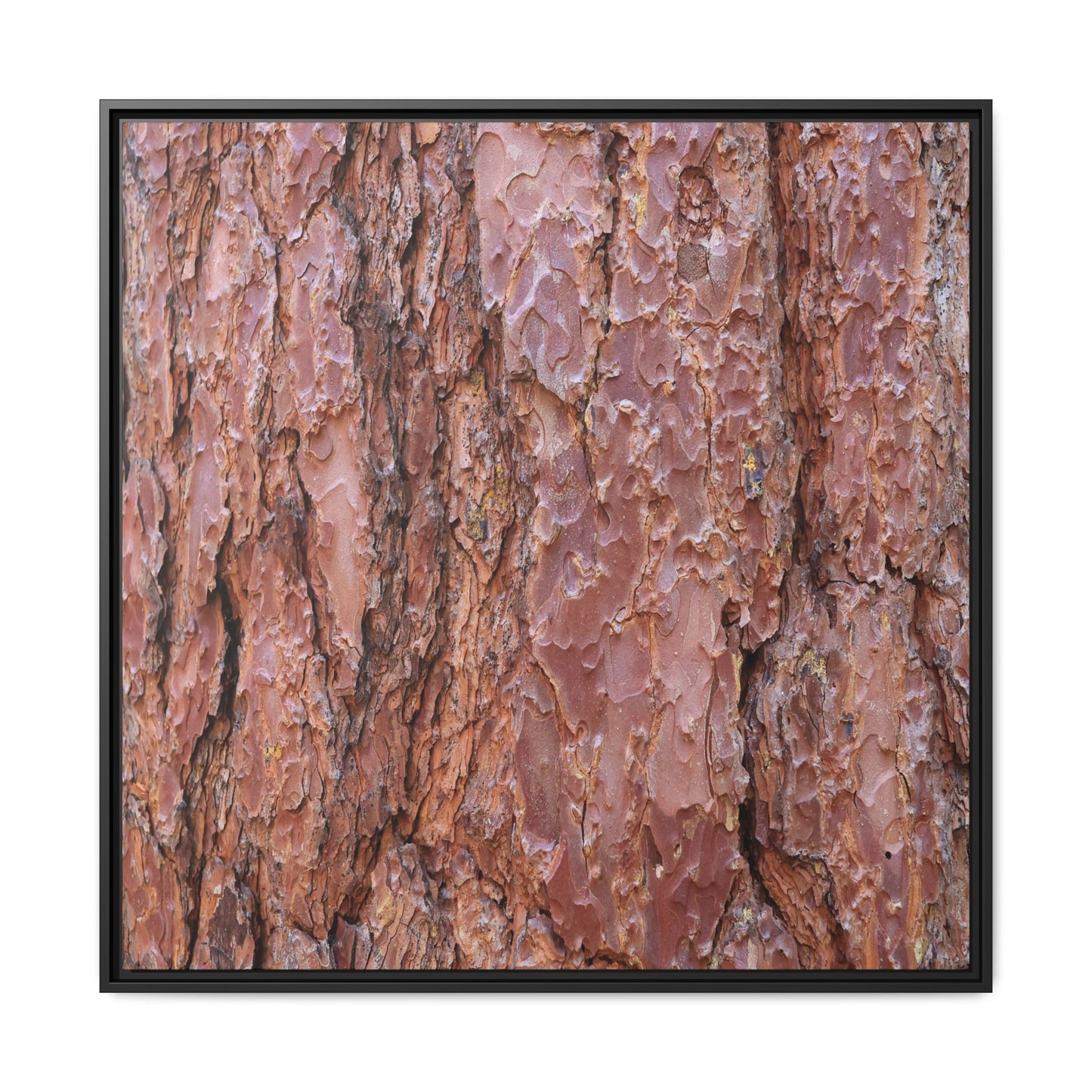Russet Ridges - Unique Stretched Canvas Wall Art