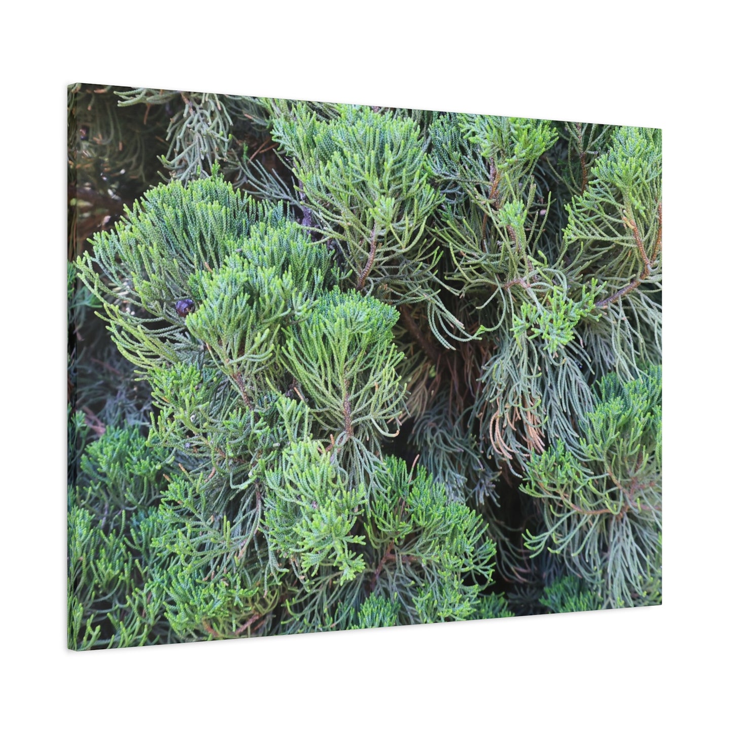 Green Labyrinth - Unique Frameless Canvas Wall Art
