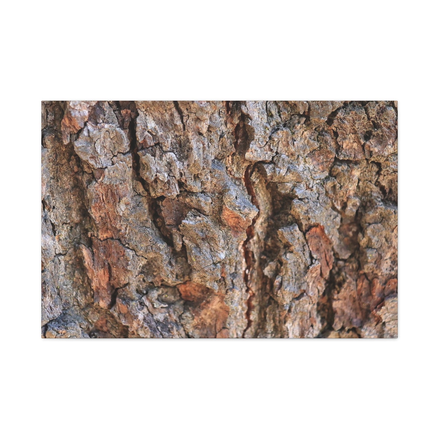 Roots of Time - Unique Frameless Canvas Wall Art
