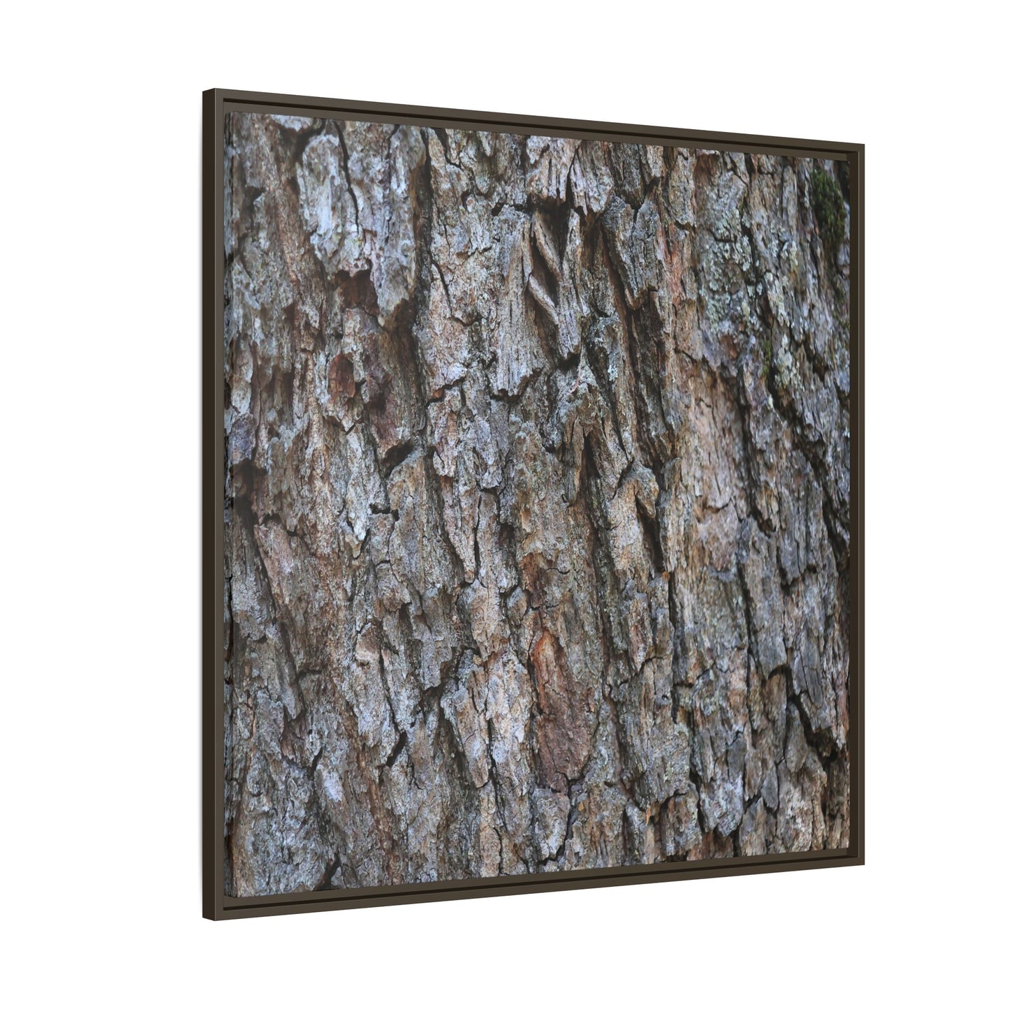 Woodland Skin - Unique Stretched Canvas Wall Art