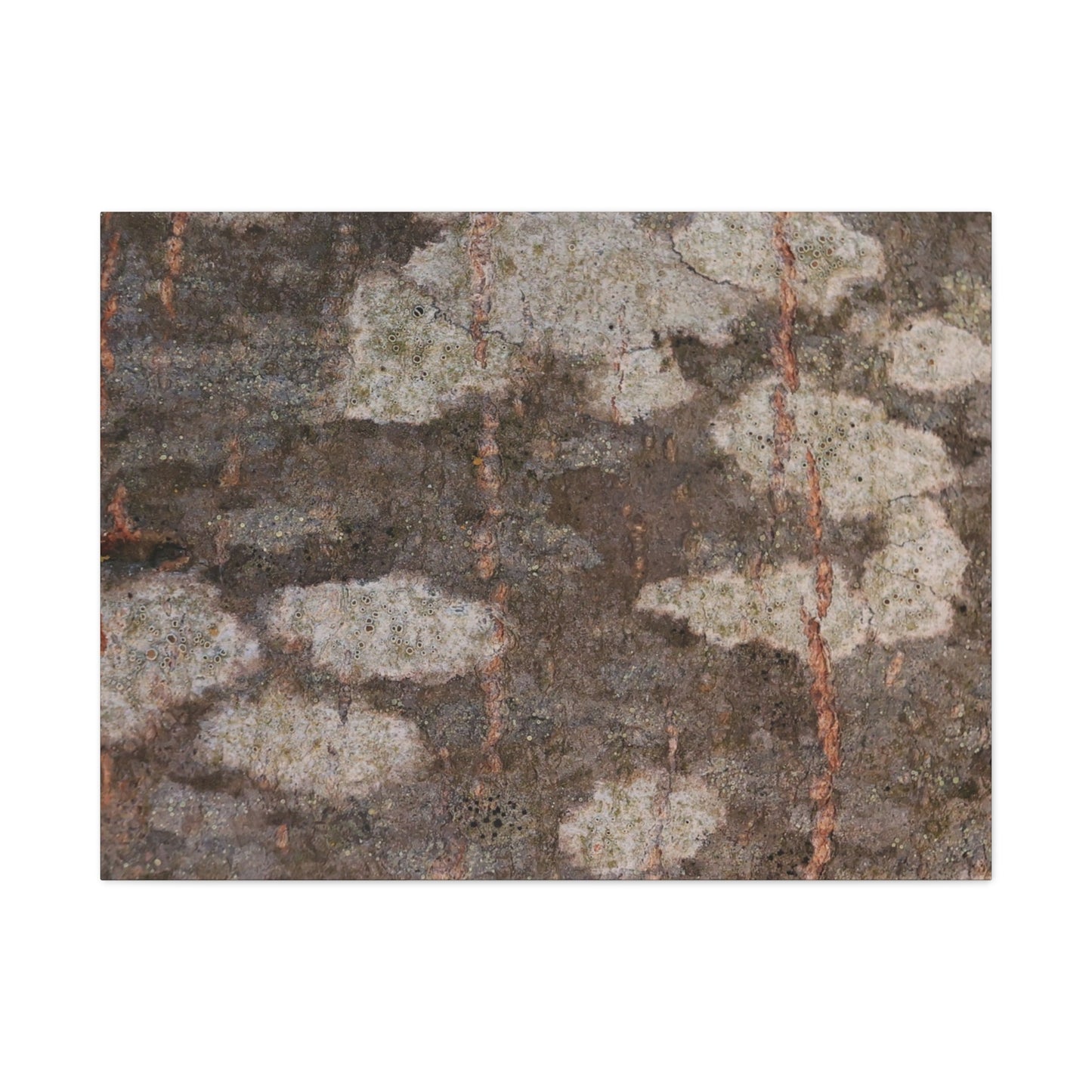 Earthen Memoir - Unique Frameless Canvas Wall Art