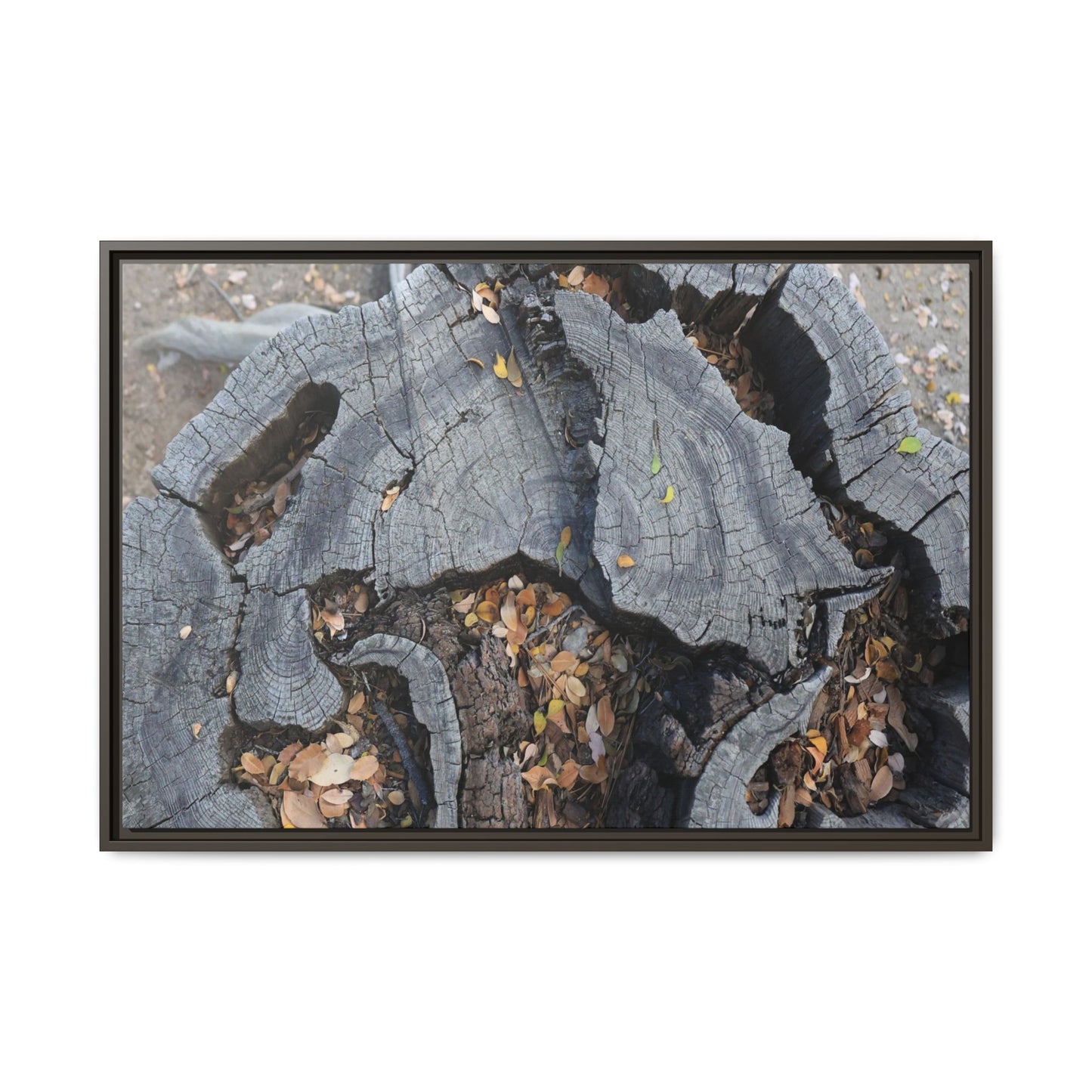Time's Fractal Memory - Unique Stretched Canvas Wall Art