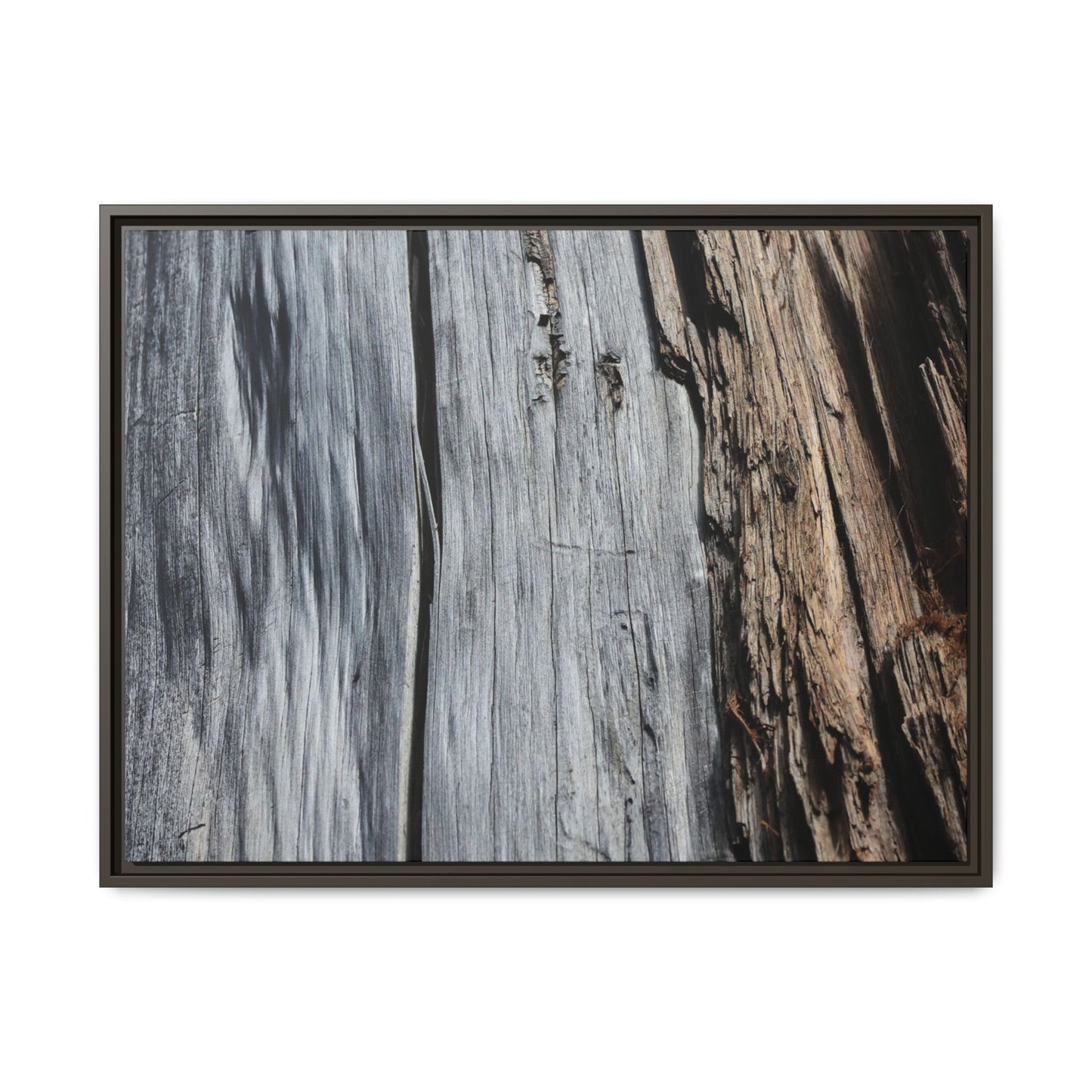 Wood's Lament - Unique Stretched Canvas Wall Art