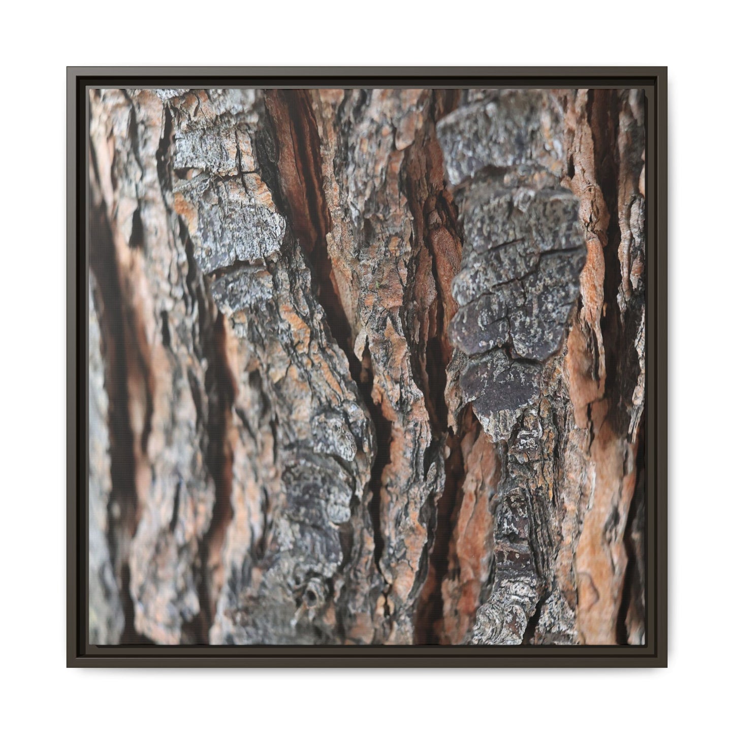Fractured Nature - Unique Stretched Canvas Wall Art