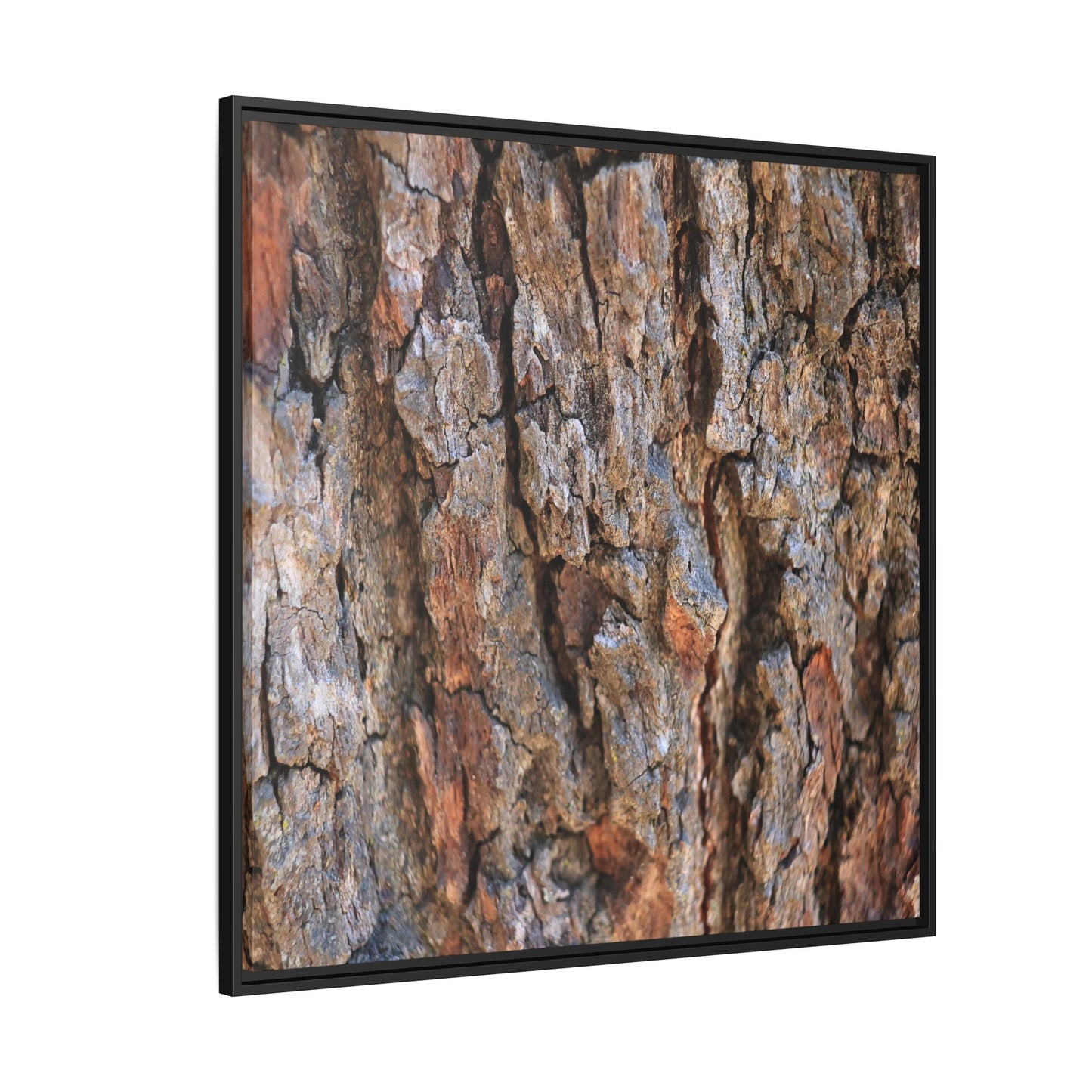 Craggy Textures - Unique Stretched Canvas Wall Art
