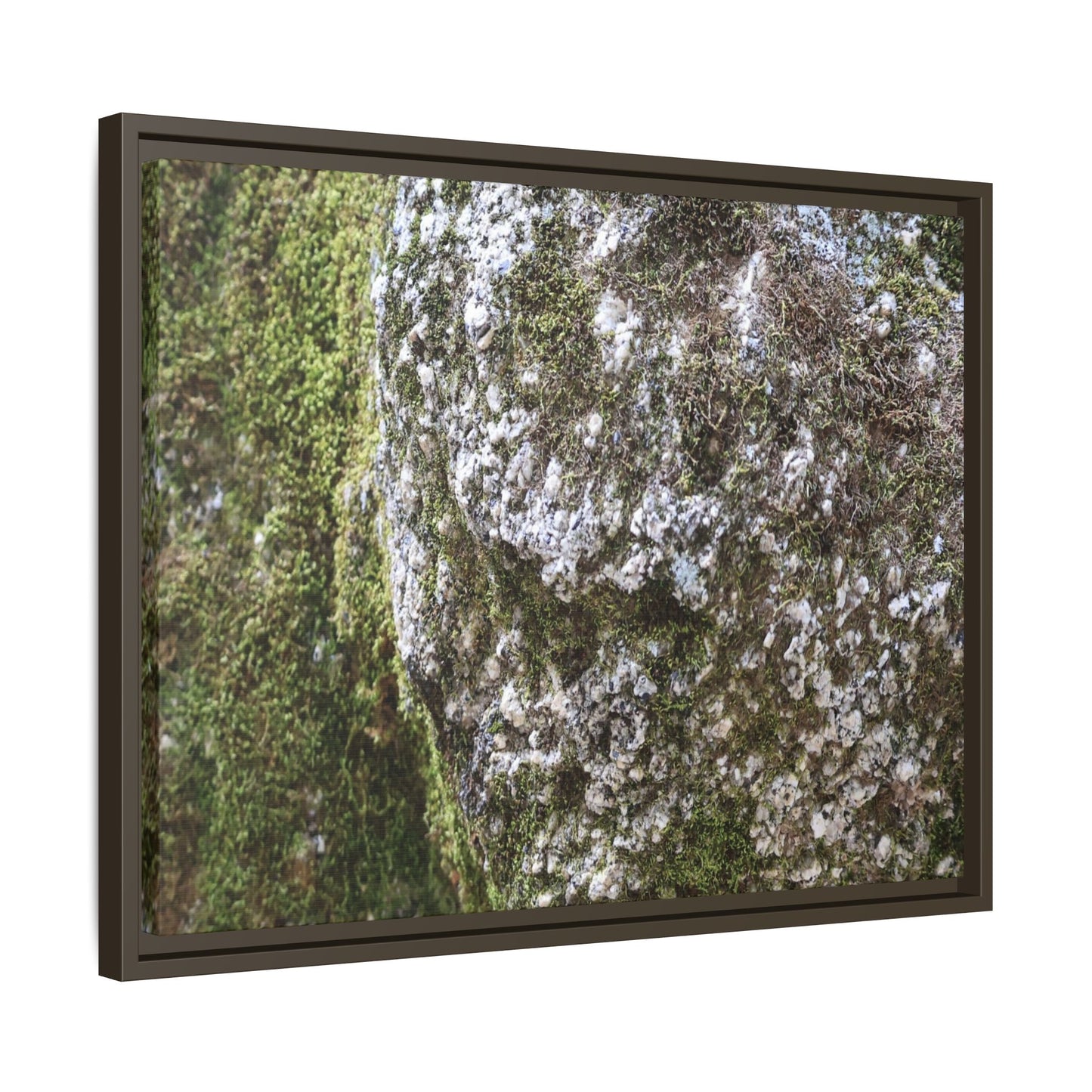Lichen Landscape - Unique Stretched Canvas Wall Art