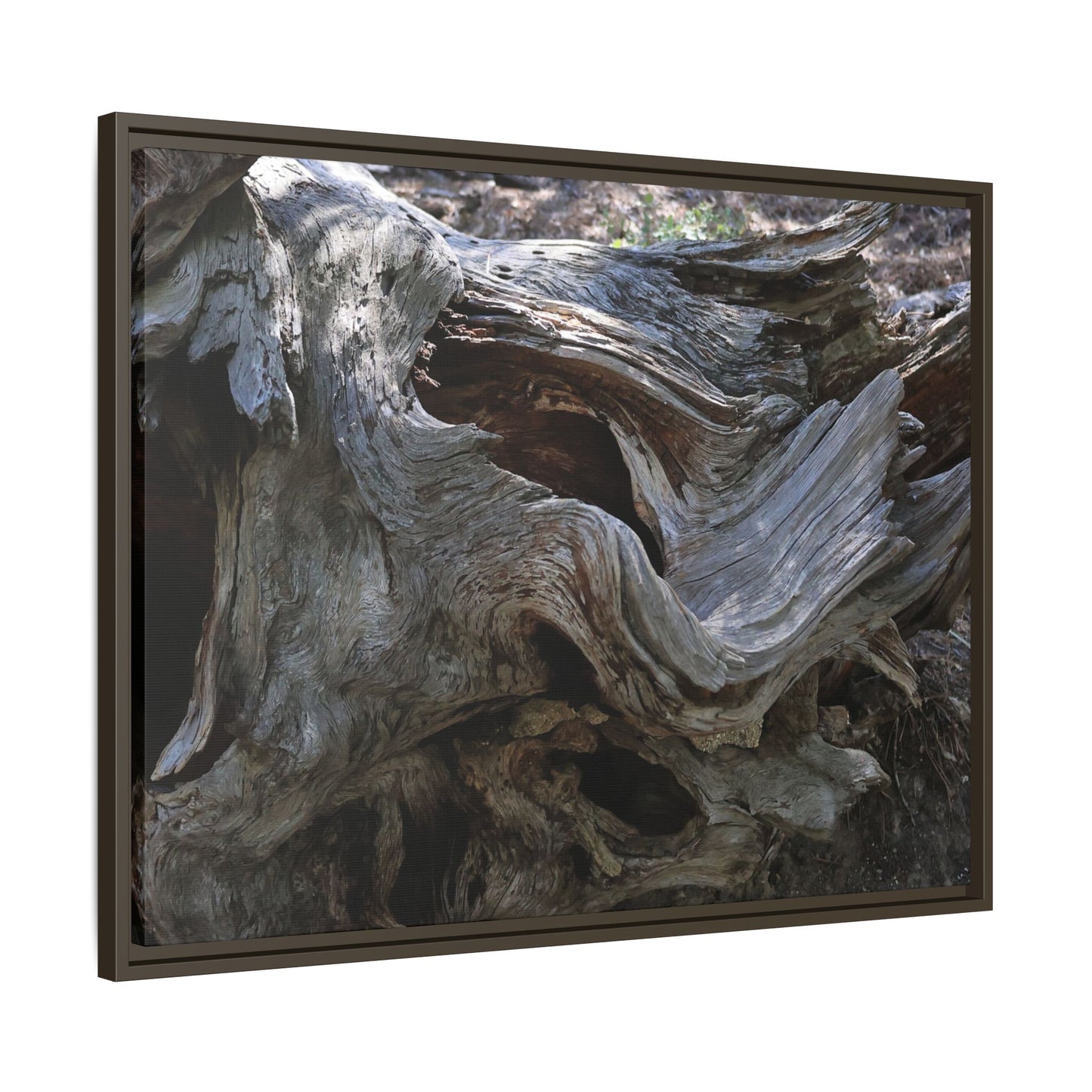 Twisted Memories - Unique Stretched Canvas Wall Art