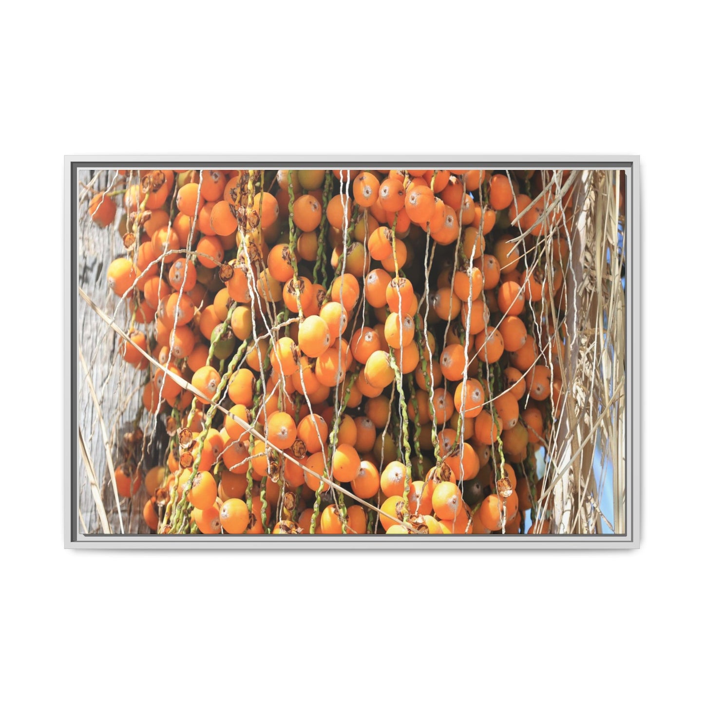 Clusters of Sunlight - Unique Canvas Wall Art