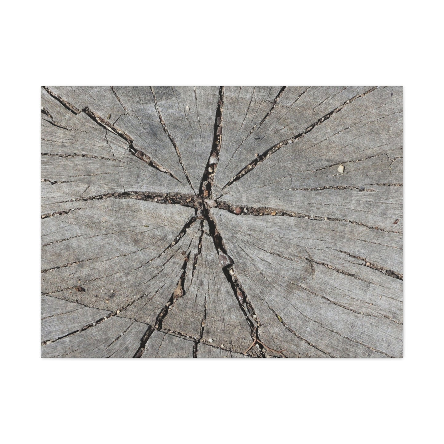 Cracked Chronicle - Unique Frameless Canvas Wall Art