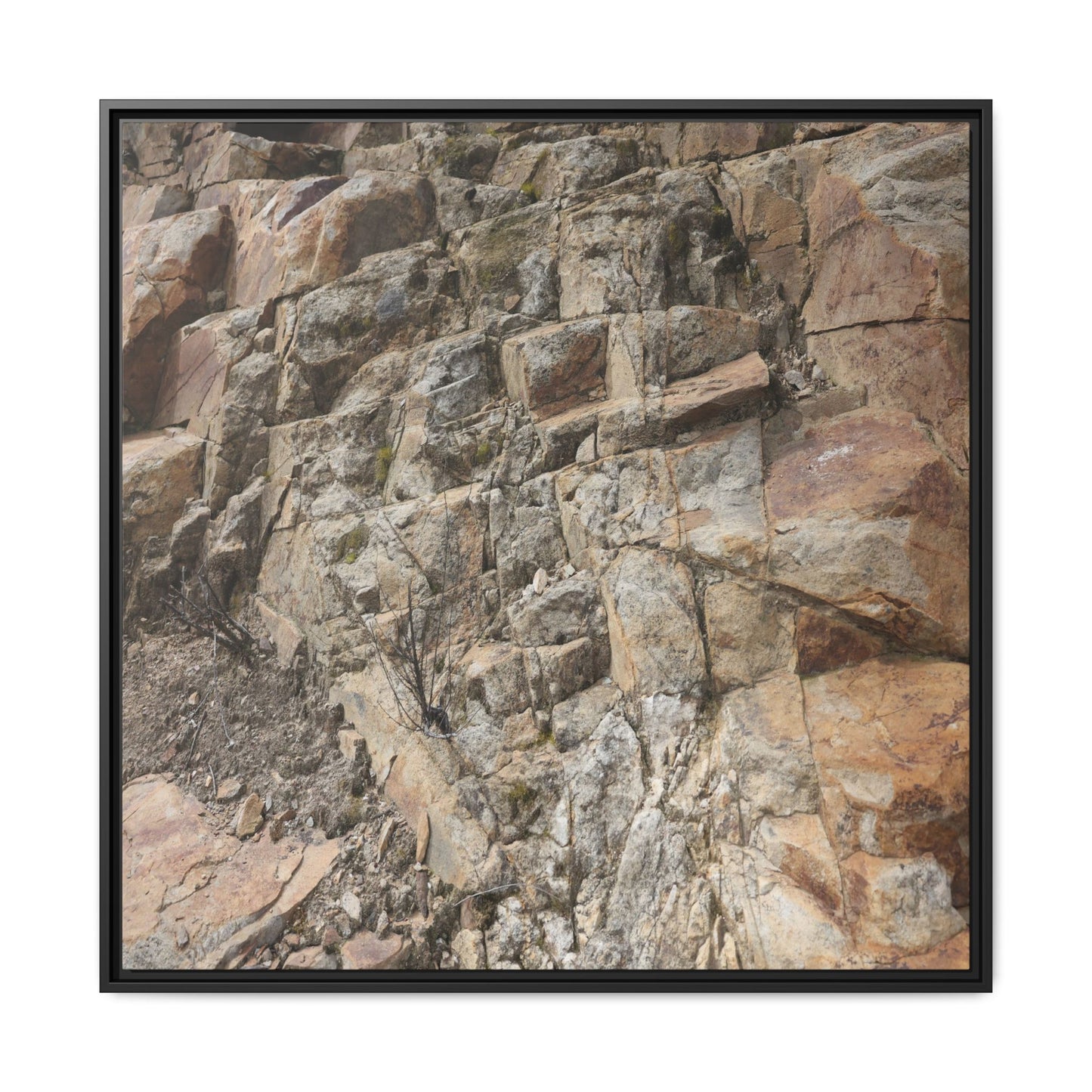 Stone's Silent Story - Unique Stretched Canvas Wall Art