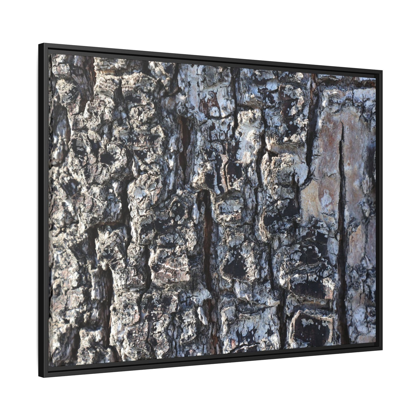 The Bark Chronicles - Unique Stretched Canvas Wall Art