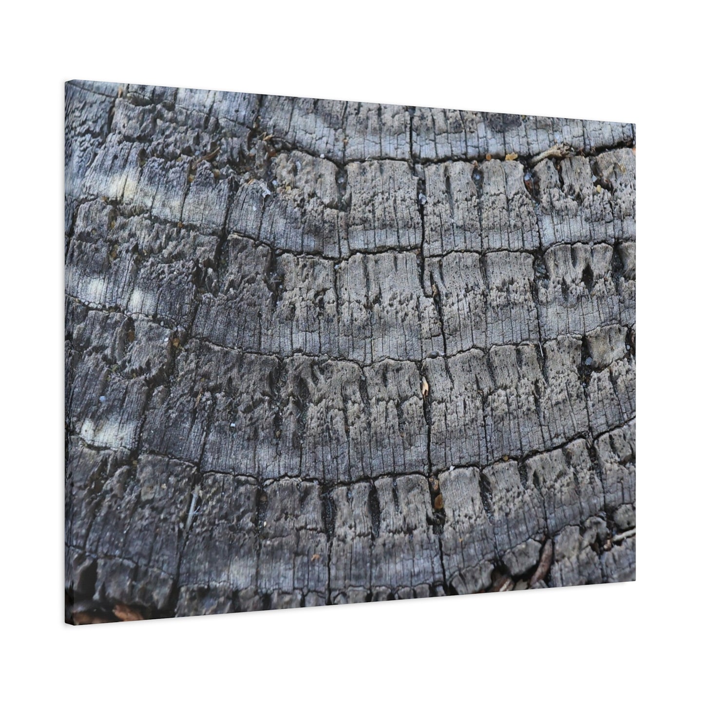 Whispers of Age - Unique Frameless Canvas Wall Art