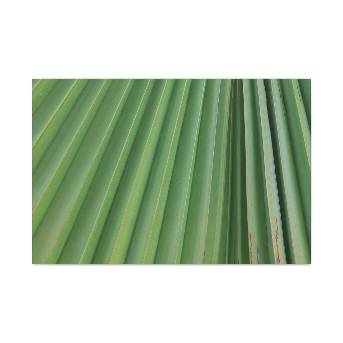 Palm Pulse - Unique Frameless Canvas Wall Art