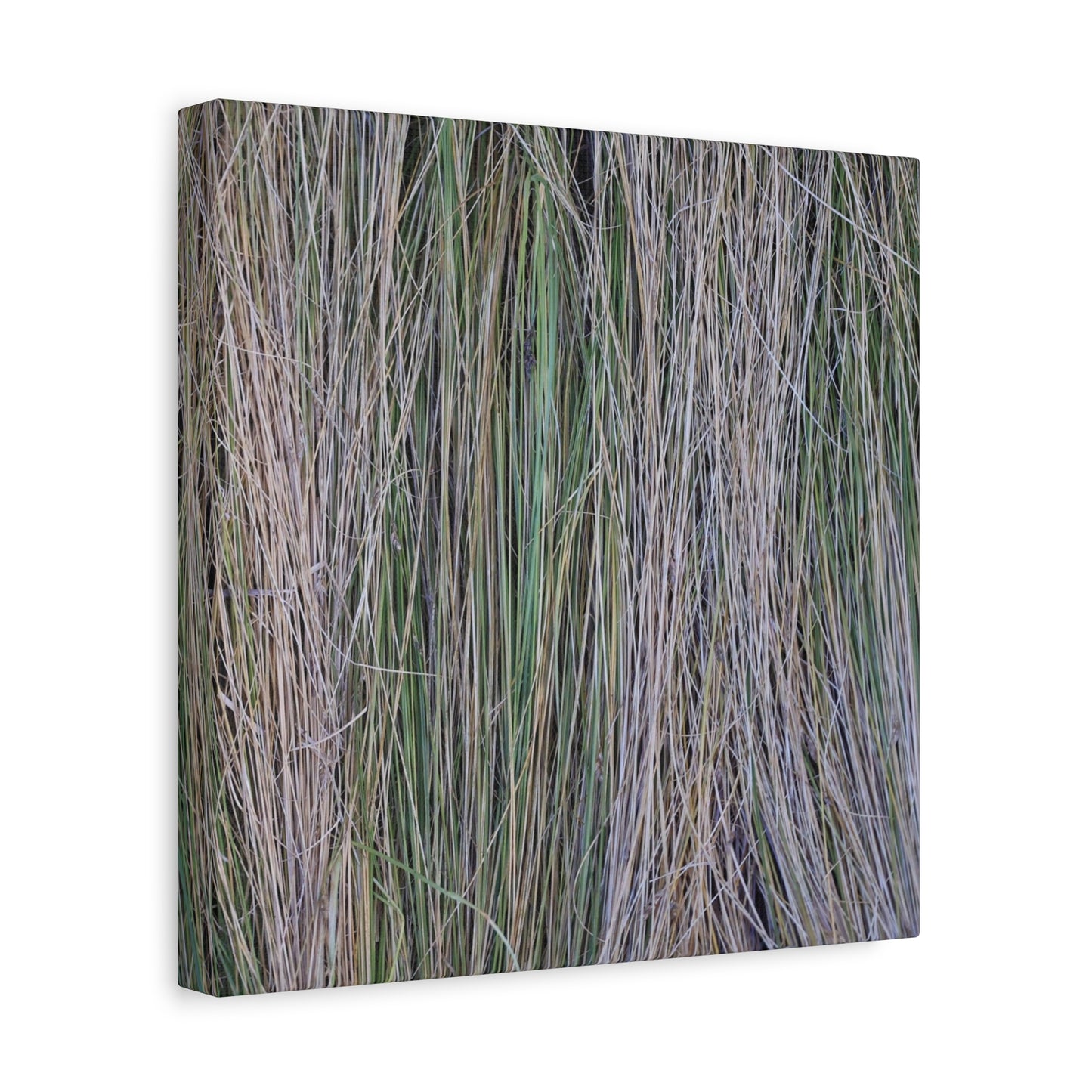 Whispers of Grass - Unique Frameless Canvas Wall Art