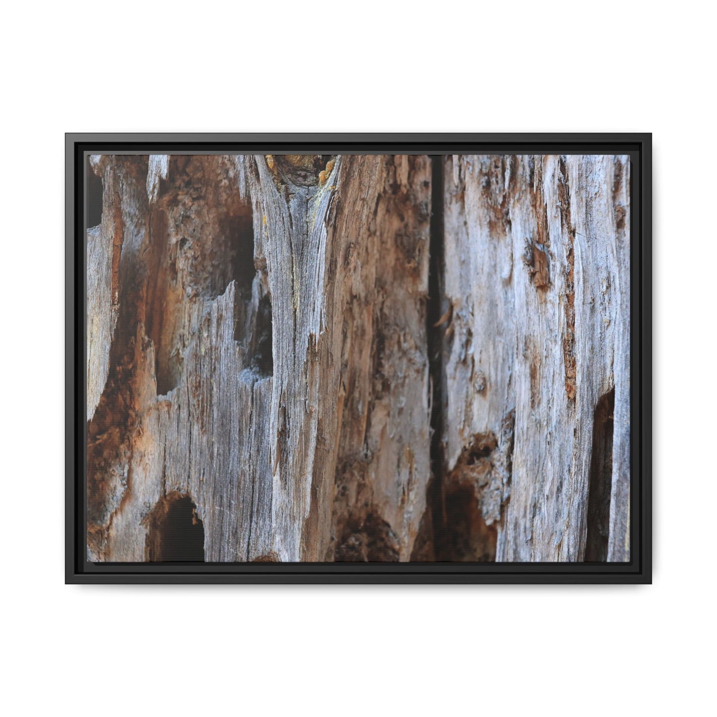 Decaying Splendor - Unique Stretched Canvas Wall Art