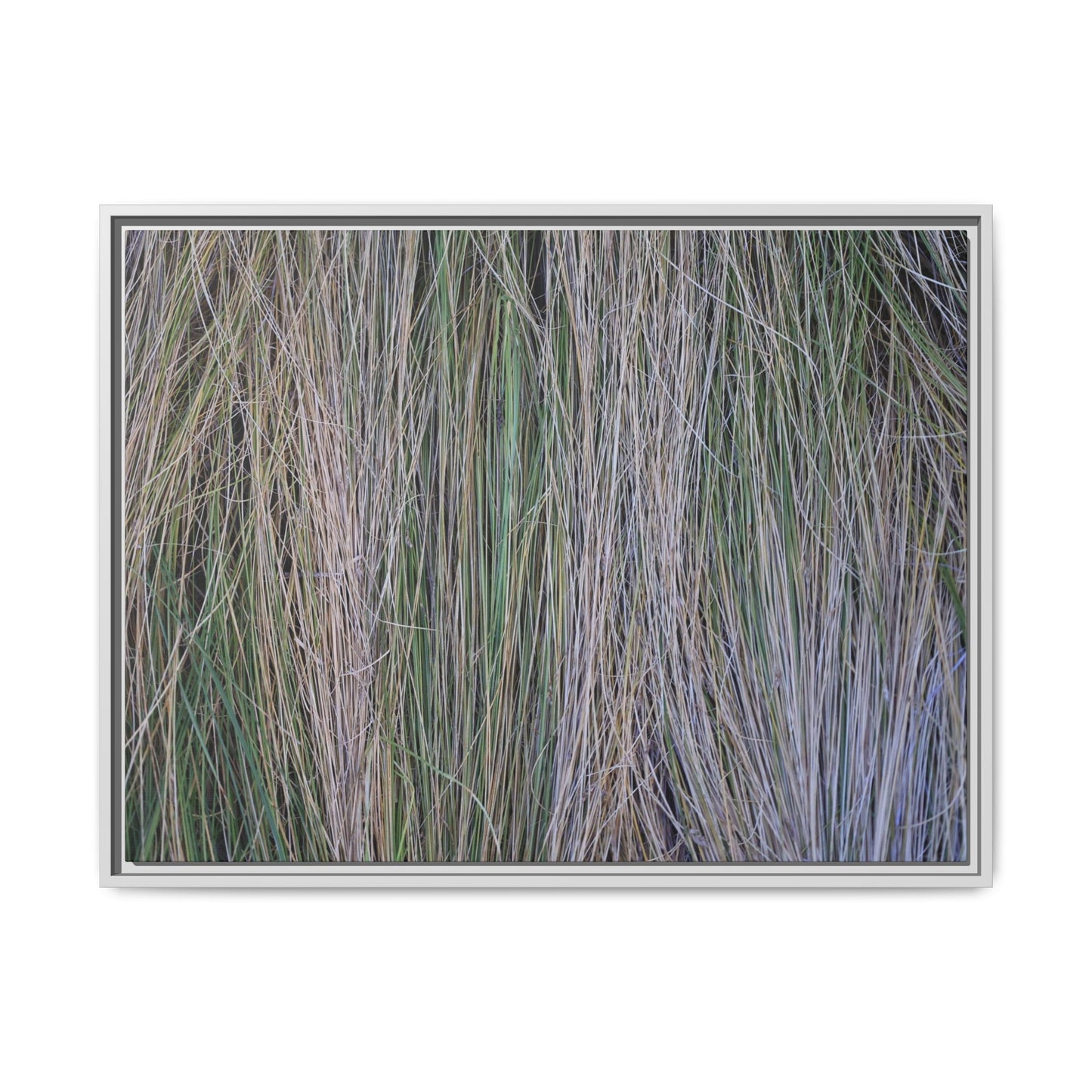 Whispers of Silver Grass - Unique Stretched Canvas Wall Art