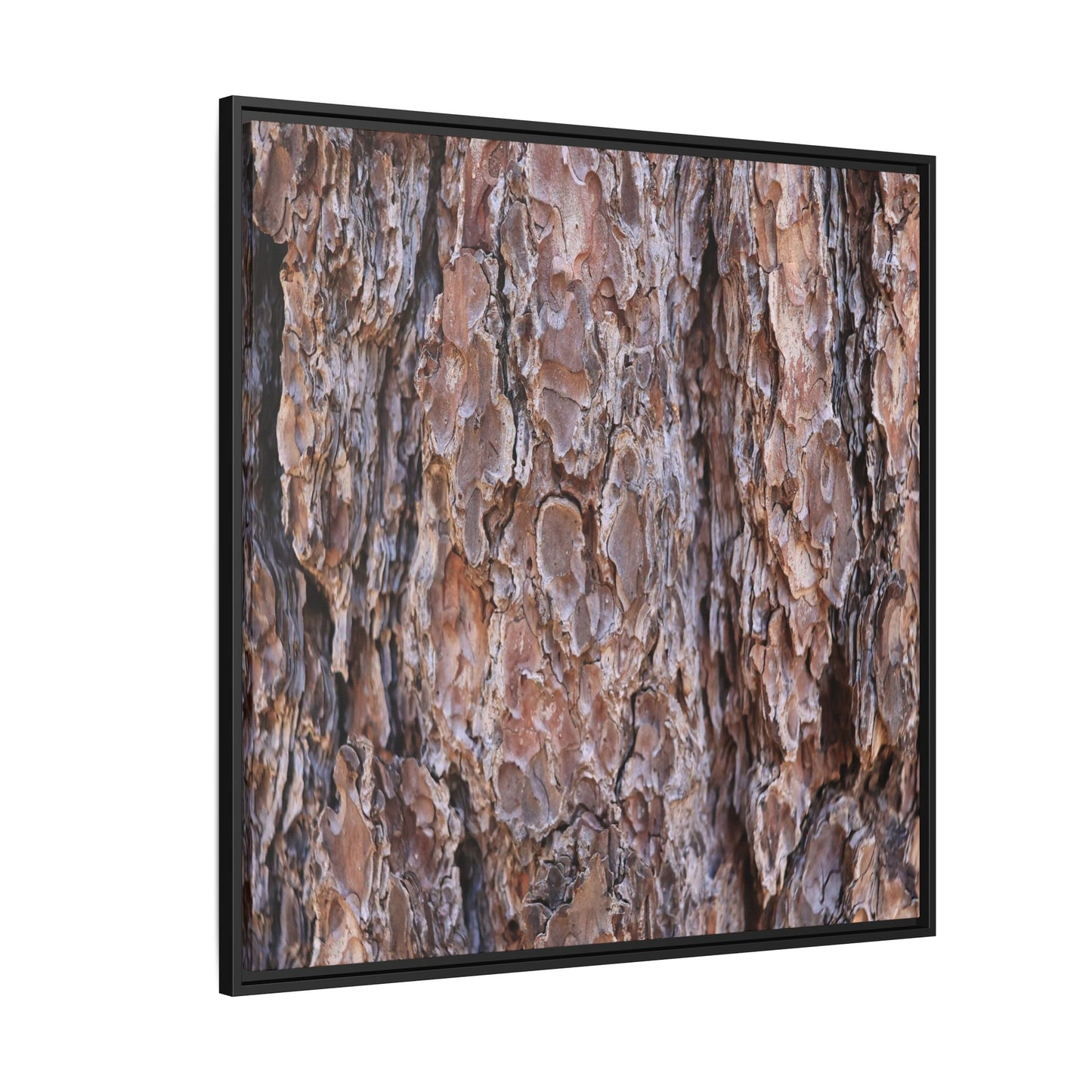 Woody Layers - Unique Stretched Canvas Wall Art