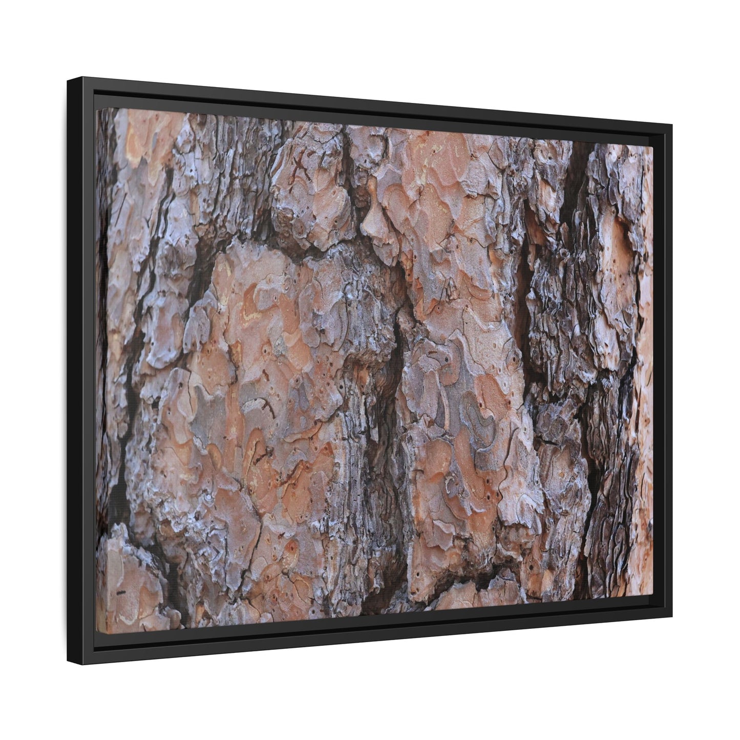 Tree Skin Symphony - Unique Stretched Canvas Wall Art