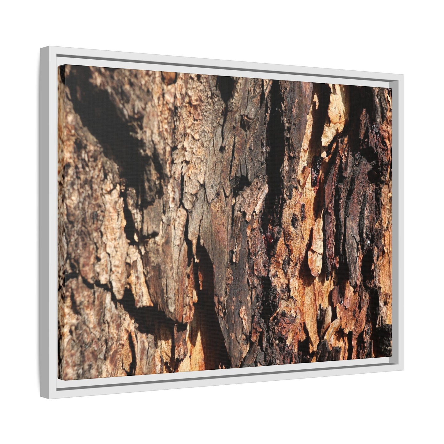 Rugged Beauty - Unique Stretched Canvas Wall Art