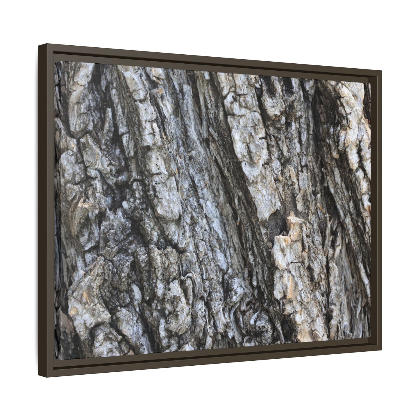 Twisted Textures - Unique Stretched Canvas Wall Art