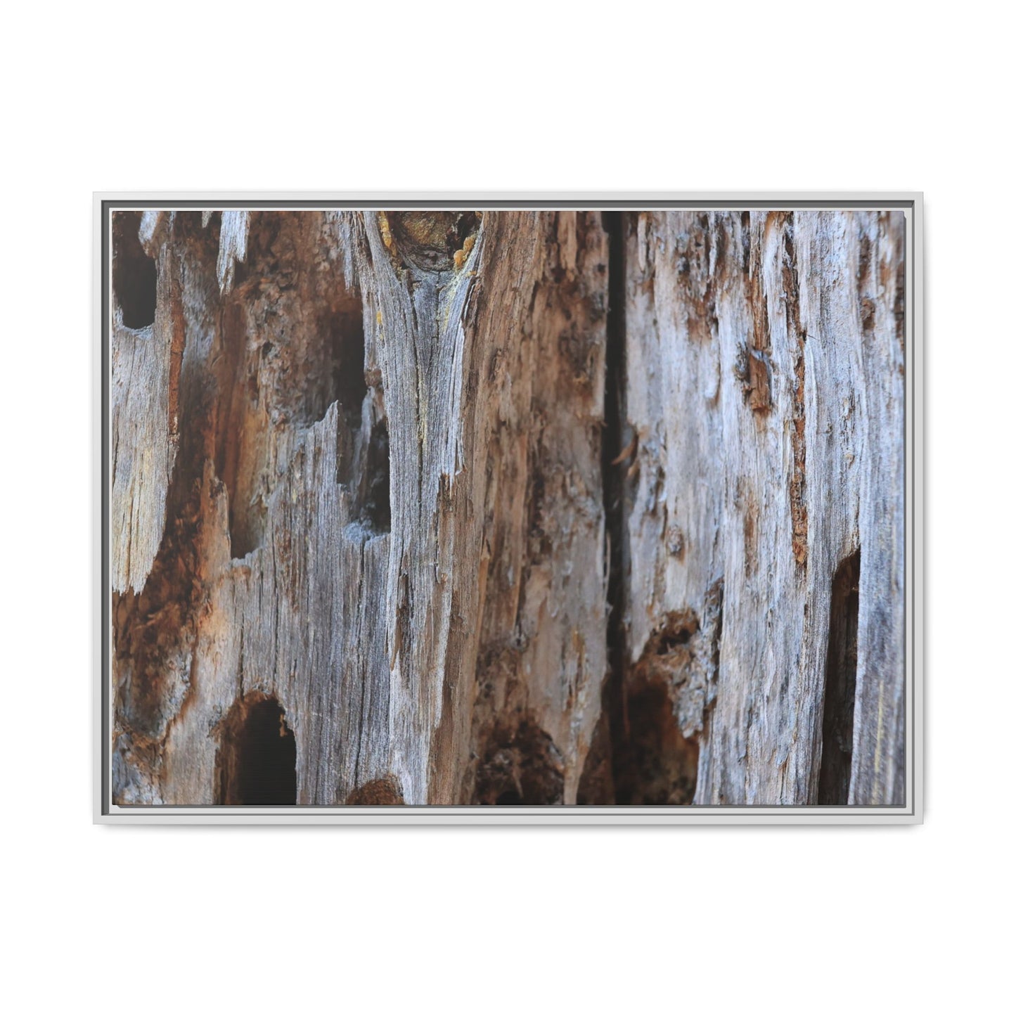 Decaying Splendor - Unique Stretched Canvas Wall Art