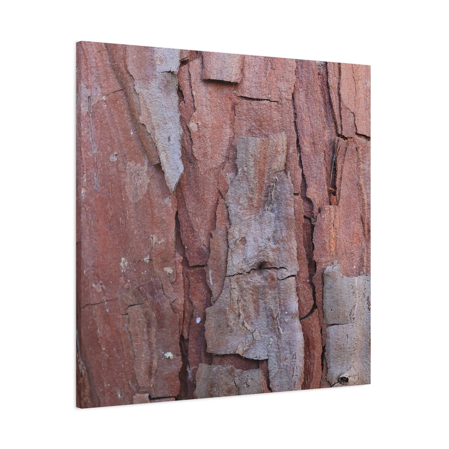 Fractal Rust - Unique Frameless Canvas Wall Art