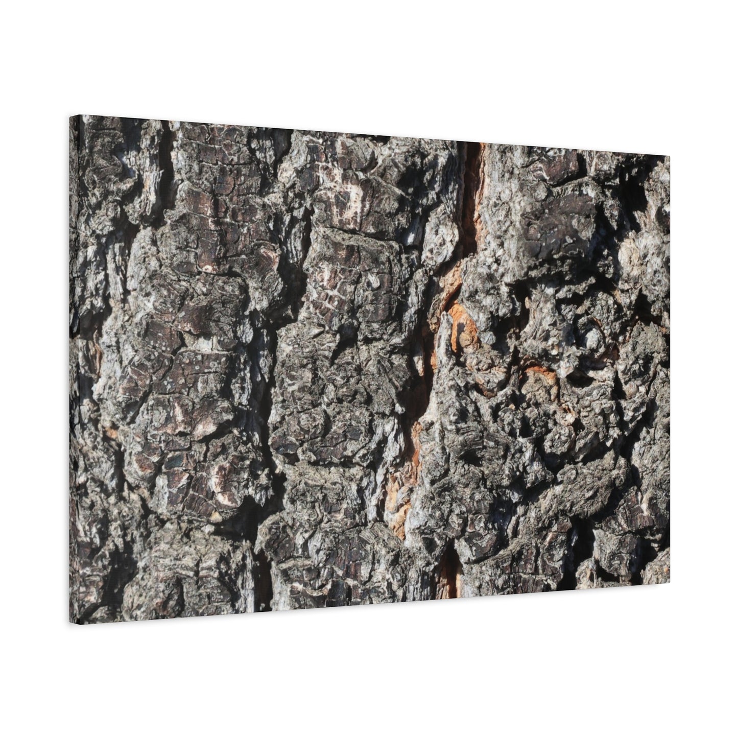 Arboreal Skin - Unique Frameless Canvas Wall Art