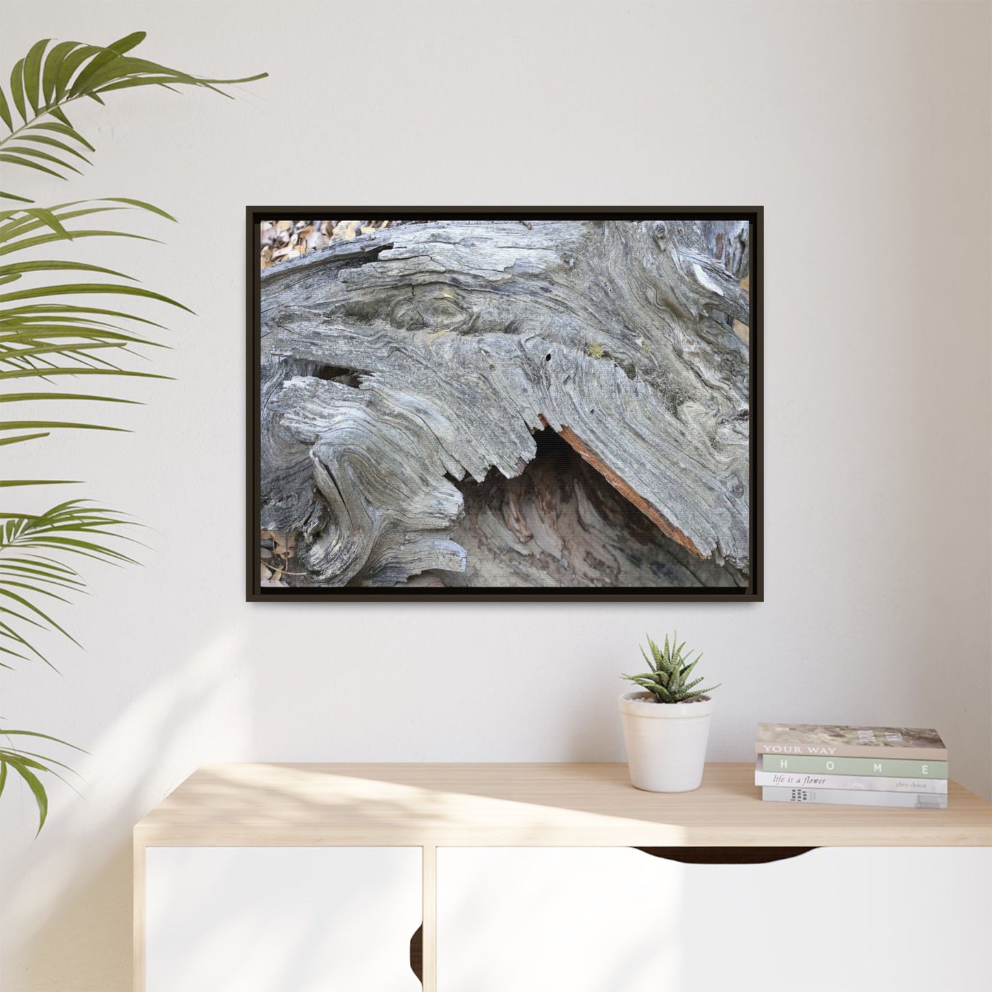 Driftwood Dreams - Unique Stretched Canvas Wall Art