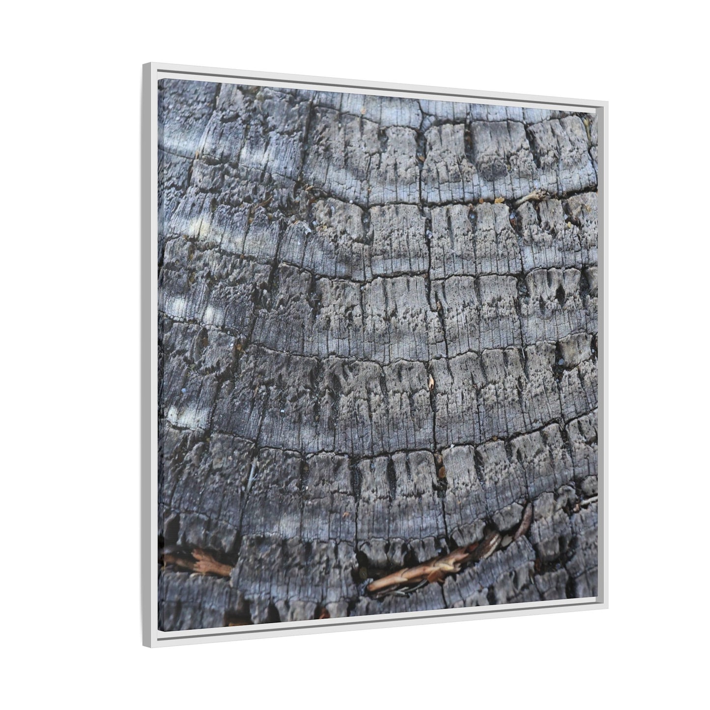 Charred Memories - Unique Stretched Canvas Wall Art