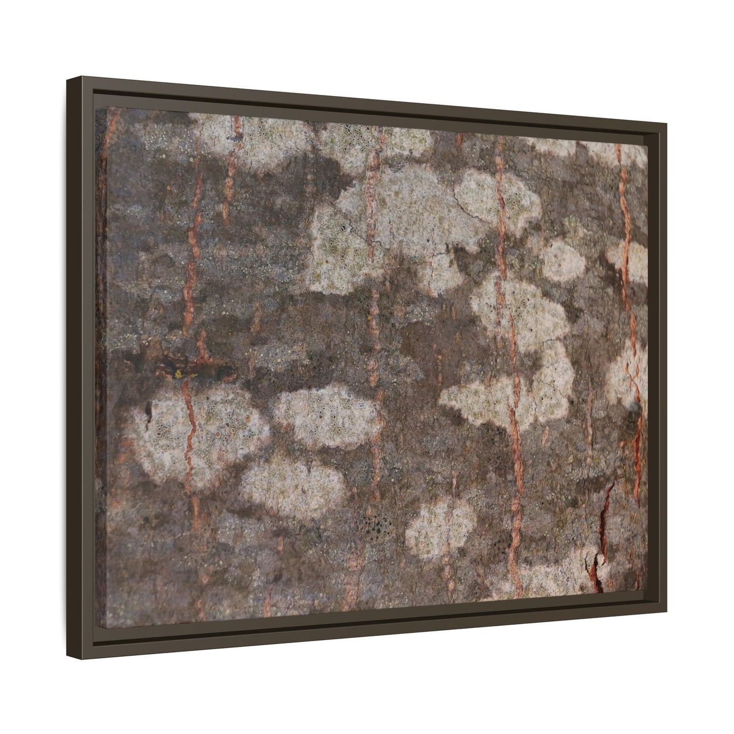 Lichen's Legacy - Unique Stretched Canvas Wall Art
