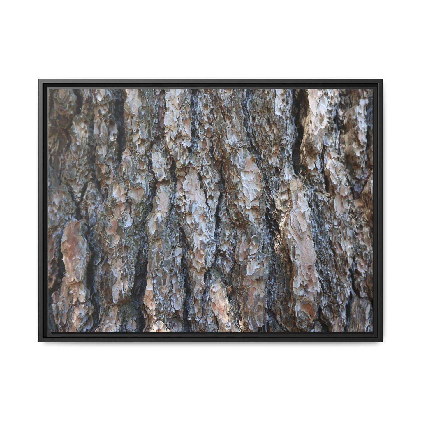Bark Whispers - Unique Stretched Canvas Wall Art