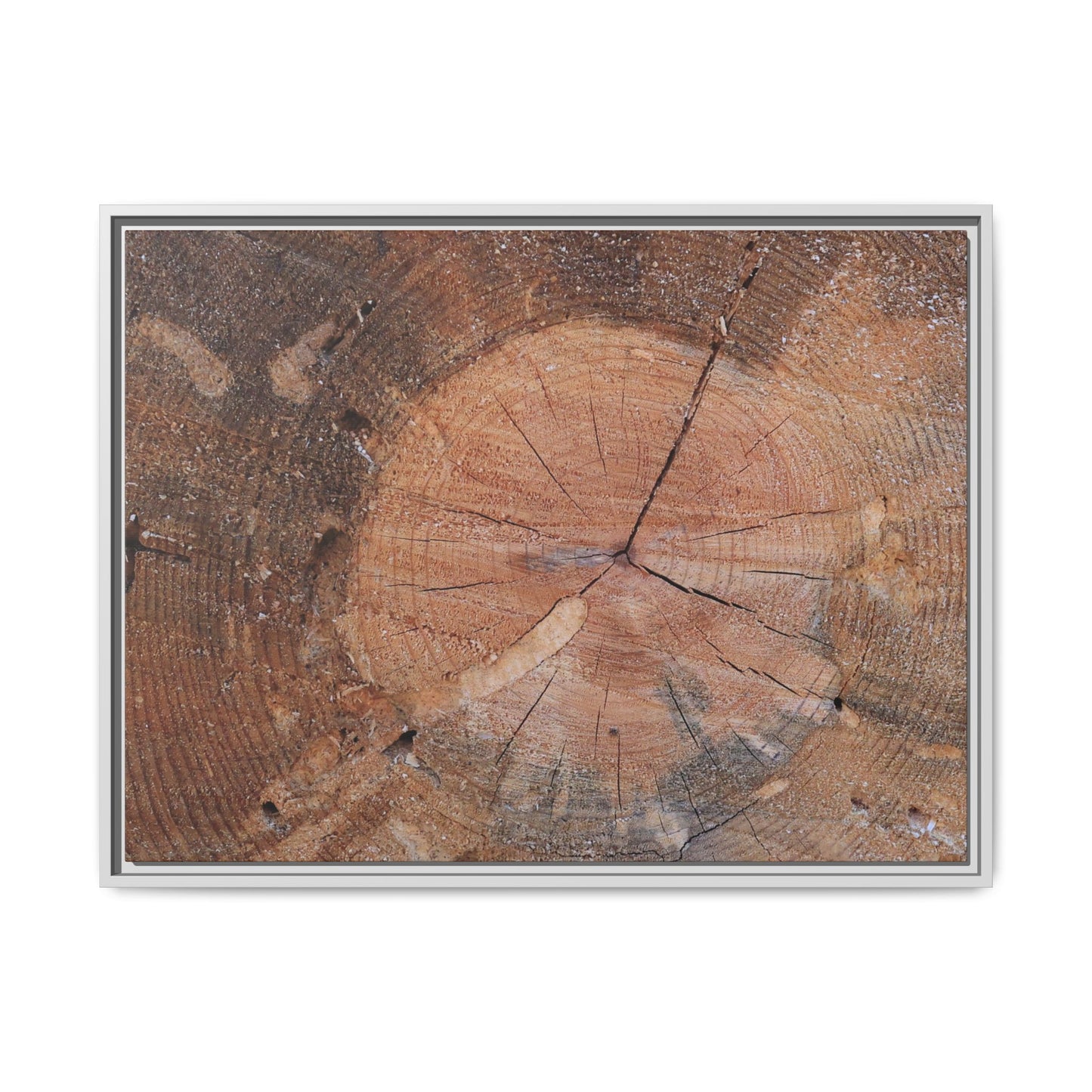 Concentric Memories - Unique Stretched Canvas Wall Art